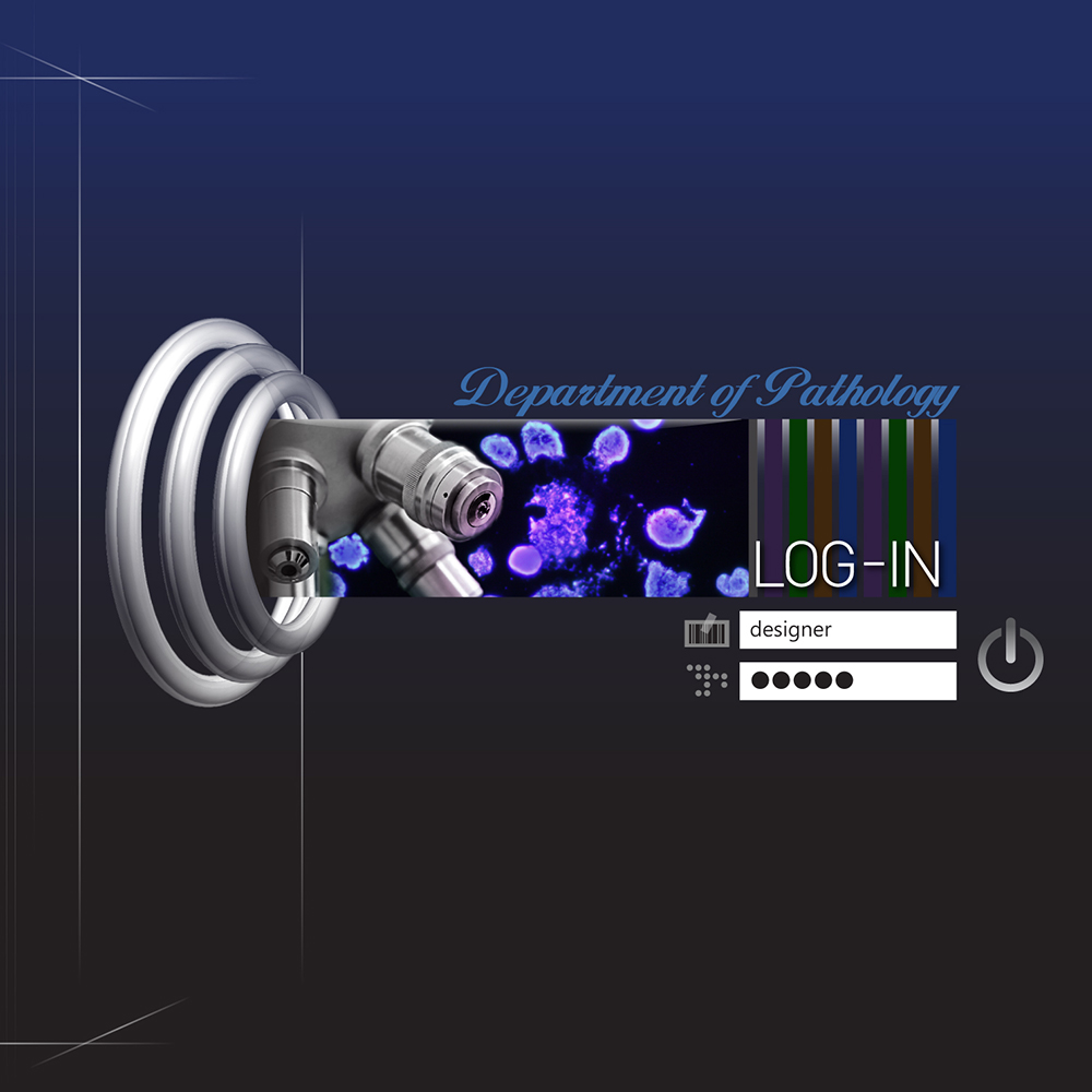 Lazy Loaded Image